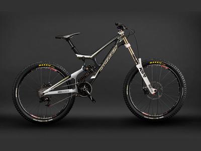 Santa Cruz V10